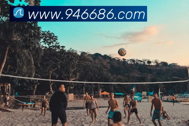 6686APP 封面图